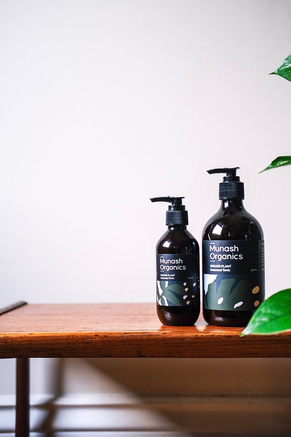Indoor Plant Seaweed Tonic