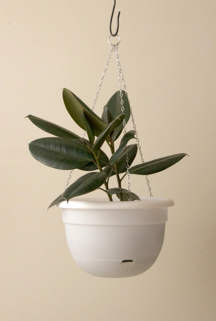 Hanging Selfwatering Plant Pot