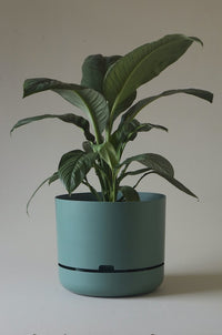 375mm Selfwatering Plant Pot