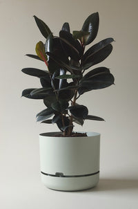 375mm Selfwatering Plant Pot