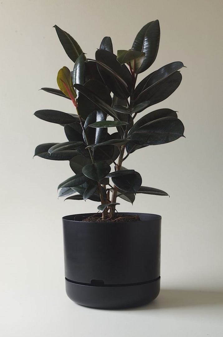 375mm Selfwatering Plant Pot