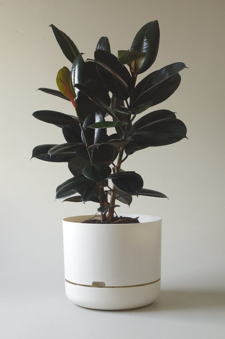 375mm Selfwatering Plant Pot