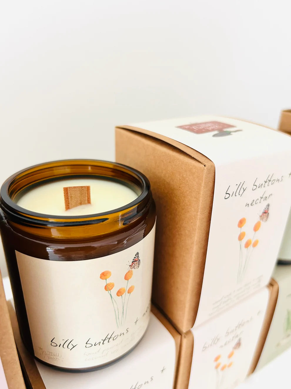 Billy Buttons & Nectar Coconut Soy Candle