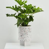 Tri Planter (2 Colours)