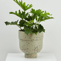Funnel Planter Gum Leaf Terrazzo