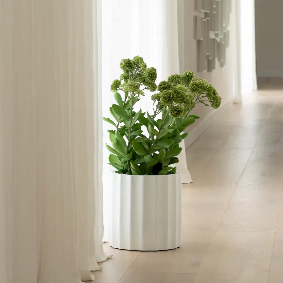 Parko Pot