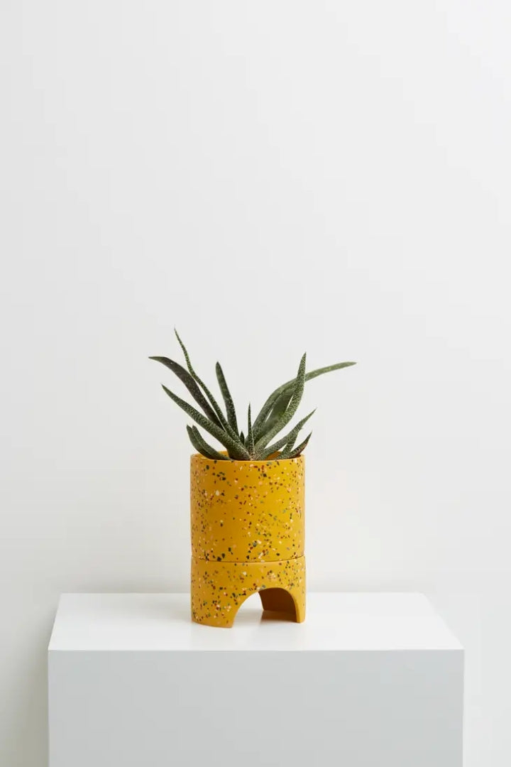 Archie Pot Golden Terrazzo