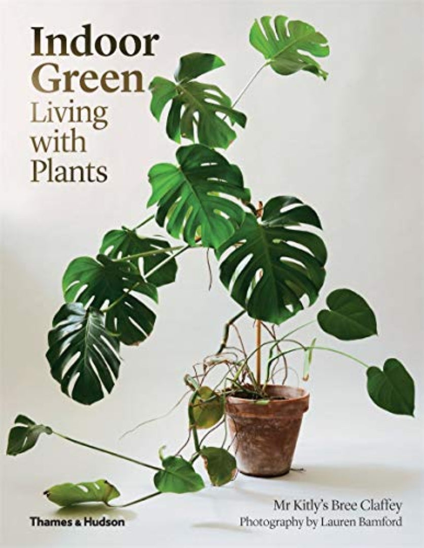 Indoor green: living with plants