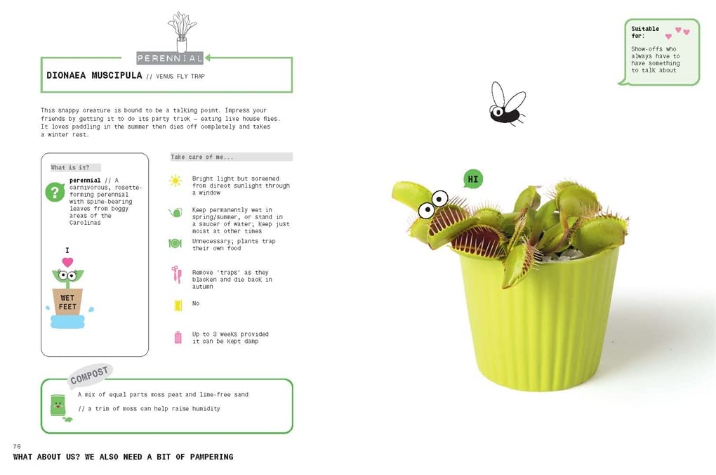 Grow Your Own Pet Plants