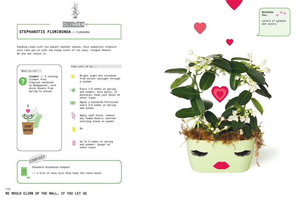 Grow Your Own Pet Plants