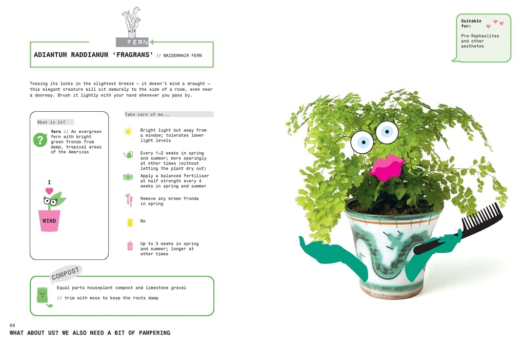 Grow Your Own Pet Plants