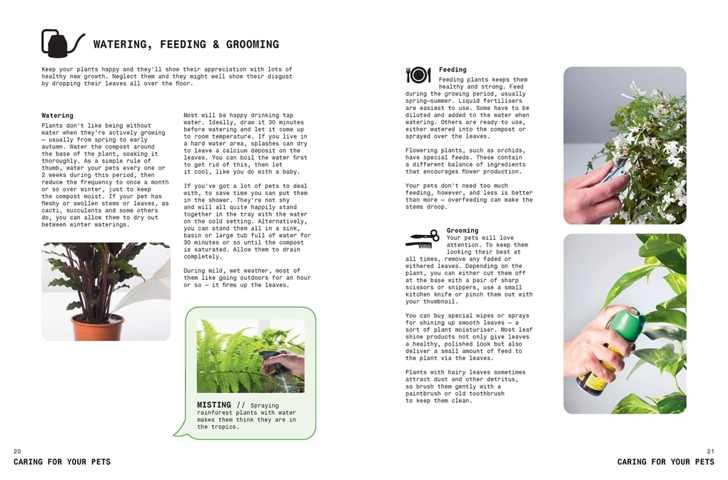 Grow Your Own Pet Plants