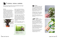 Grow Your Own Pet Plants