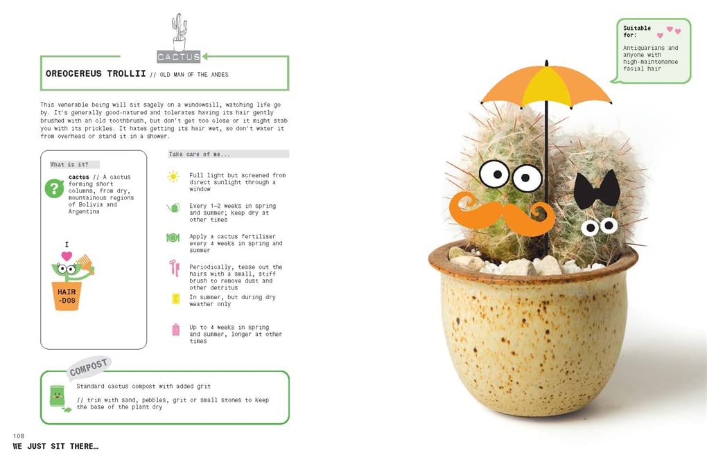 Grow Your Own Pet Plants