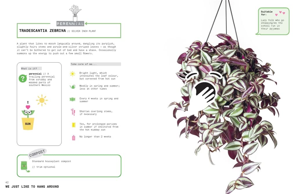 Grow Your Own Pet Plants