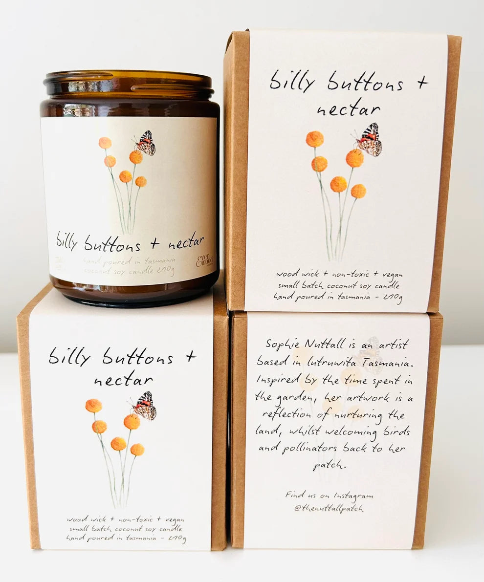 Billy Buttons & Nectar Coconut Soy Candle