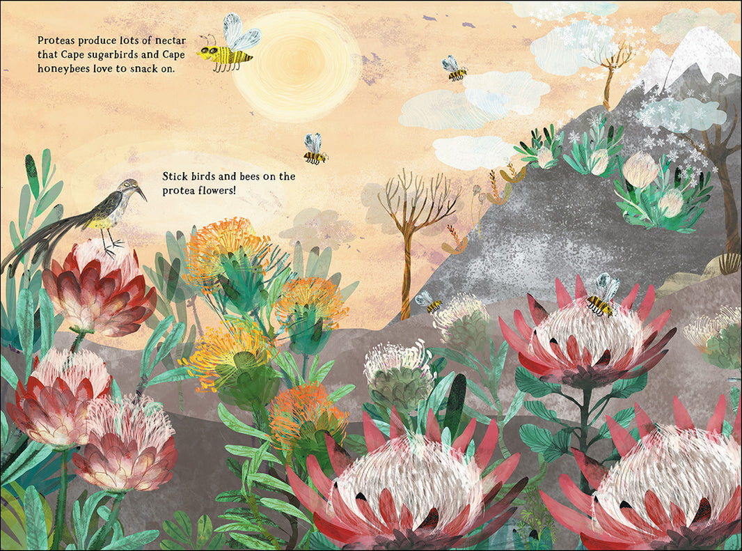 The Big Sticker Book Of Blooms