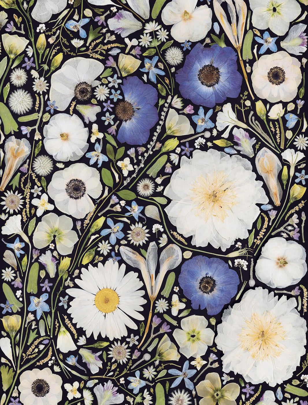 Beautiful Blooms Wrapping Paper Book