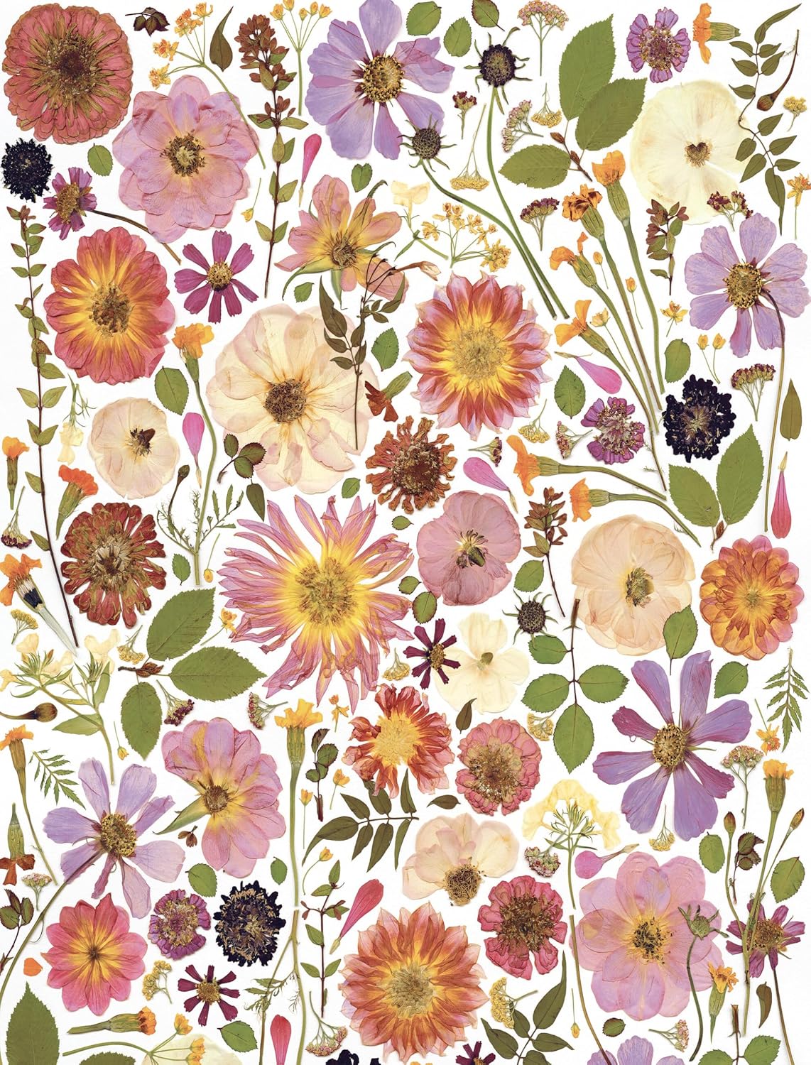 Beautiful Blooms Wrapping Paper Book