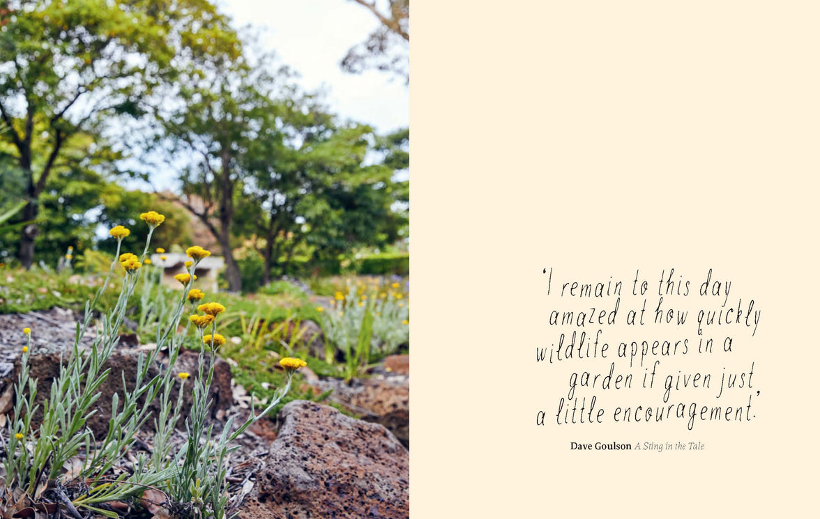 Planting for Native Birds, Bees and Butterflies