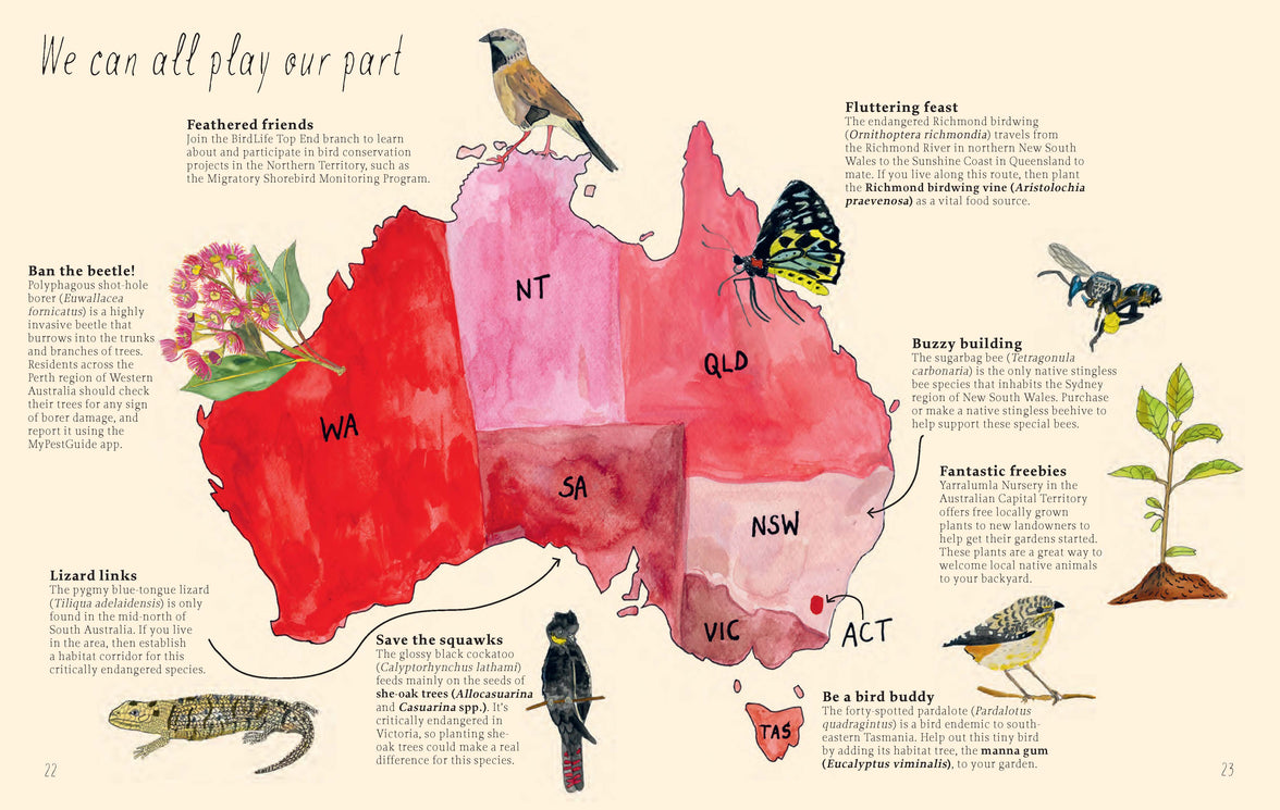 Planting for Native Birds, Bees and Butterflies