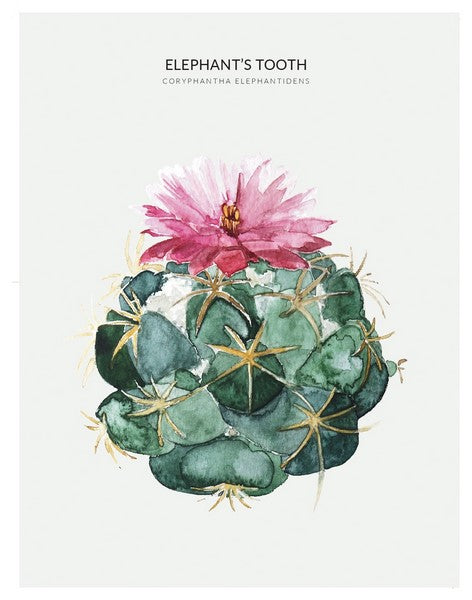 Urban Botanics