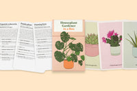 Houseplant Gardener In A Box