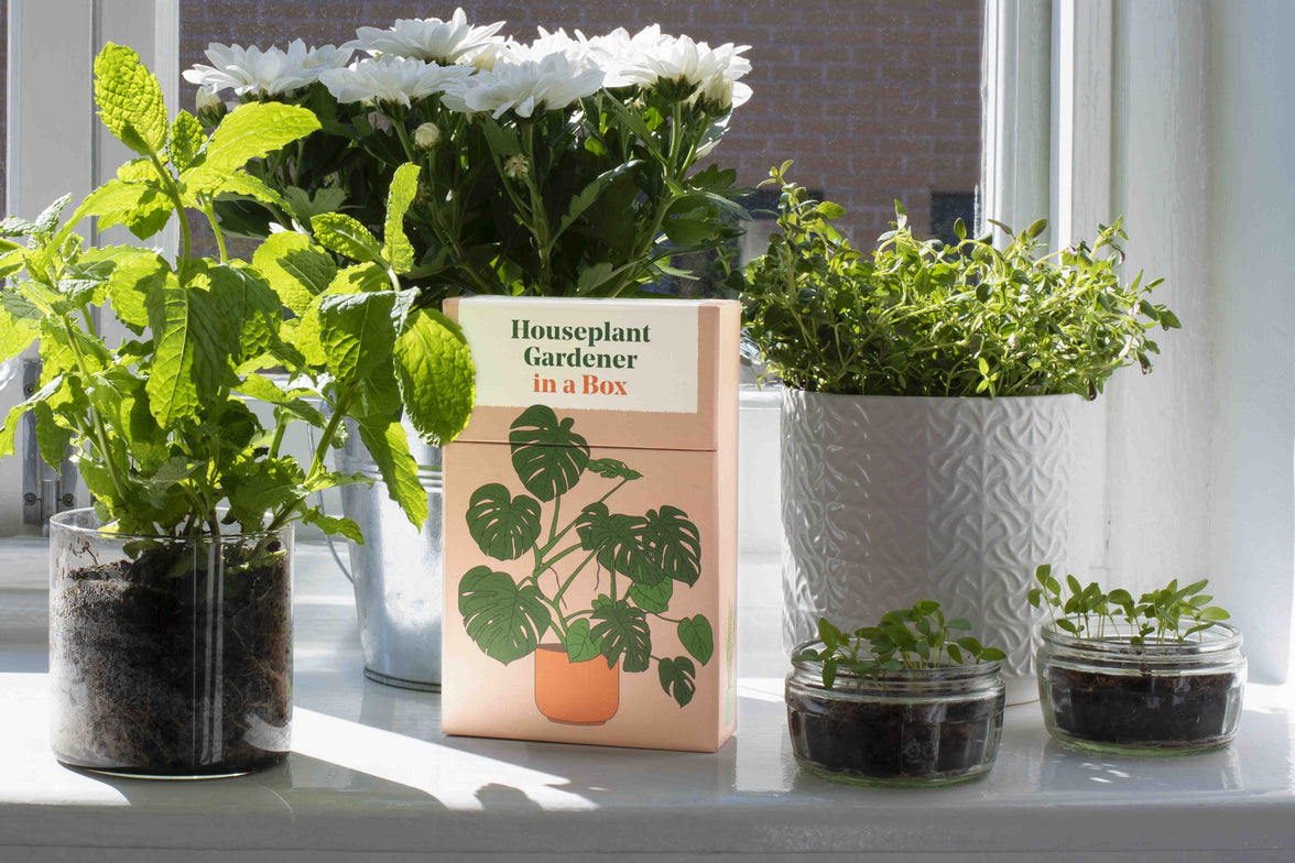 Houseplant Gardener In A Box