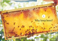 Backyard Bees