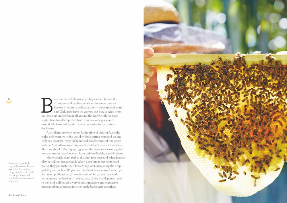 Backyard Bees