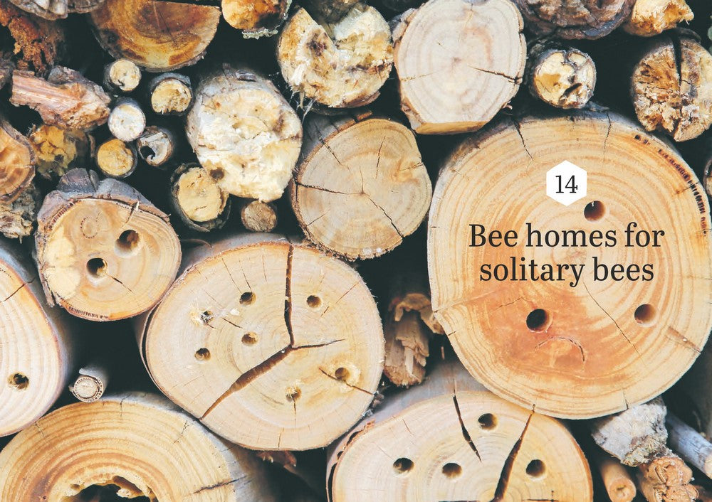 Backyard Bees