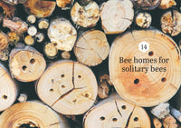Backyard Bees