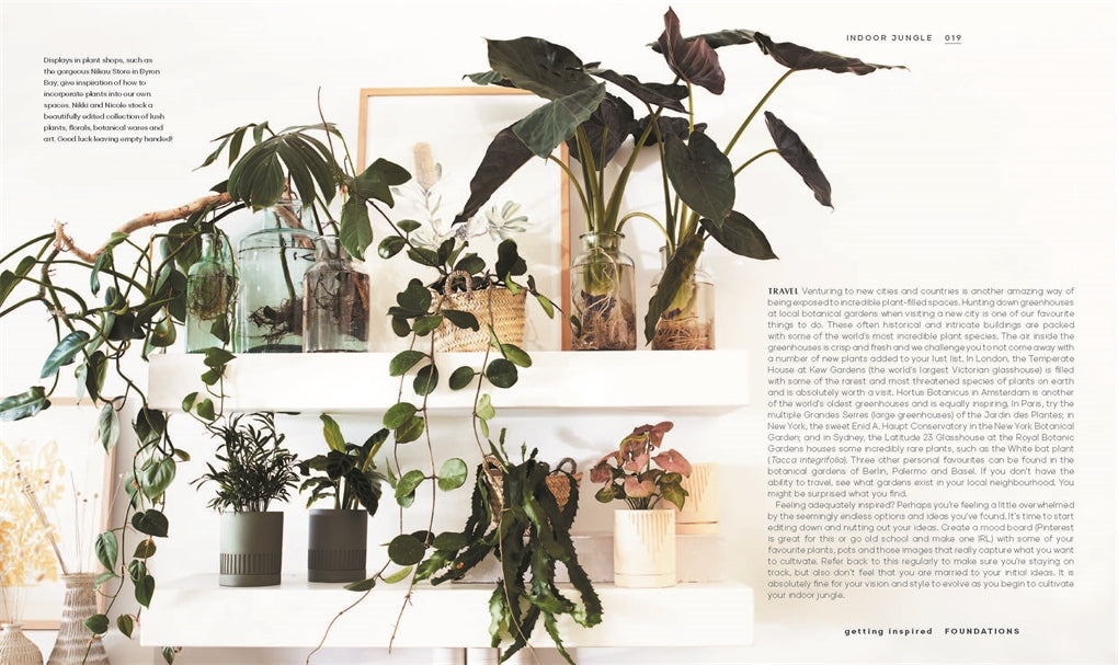 Indoor Jungle