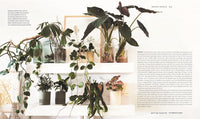 Indoor Jungle
