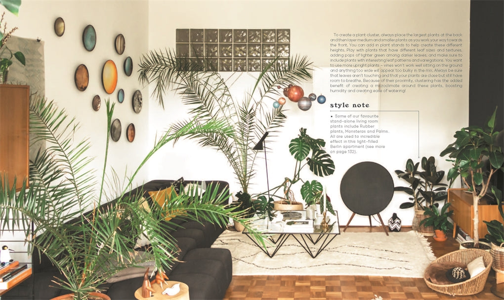 Indoor Jungle