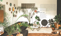 Indoor Jungle