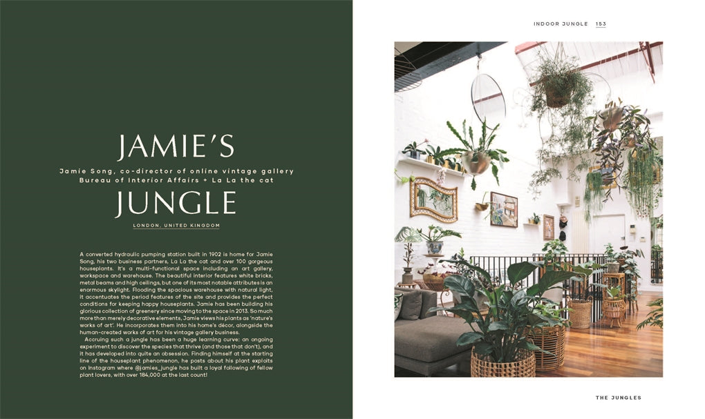 Indoor Jungle