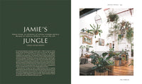 Indoor Jungle