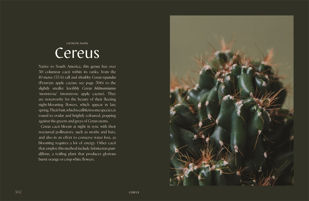 Plantopedia: The Definitive Guide to House Plants