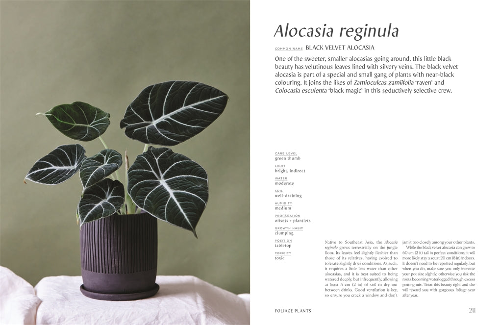 Plantopedia: The Definitive Guide to House Plants