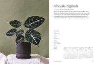 Plantopedia: The Definitive Guide to House Plants