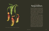 Plantopedia: The Definitive Guide to House Plants