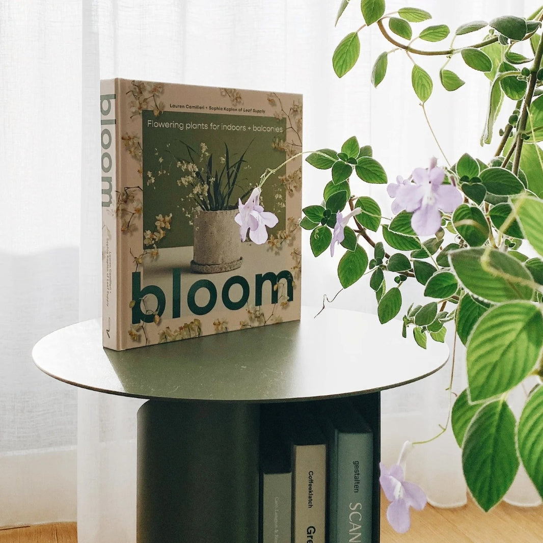Bloom: Flowering Plants for Indoors and Balconies