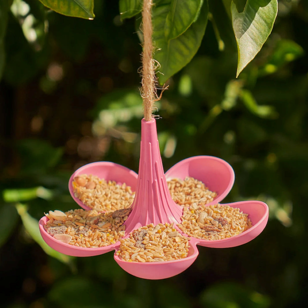 Hanging Bird Feeder - Pink
