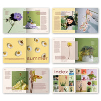 Bloom: Flowering Plants for Indoors and Balconies
