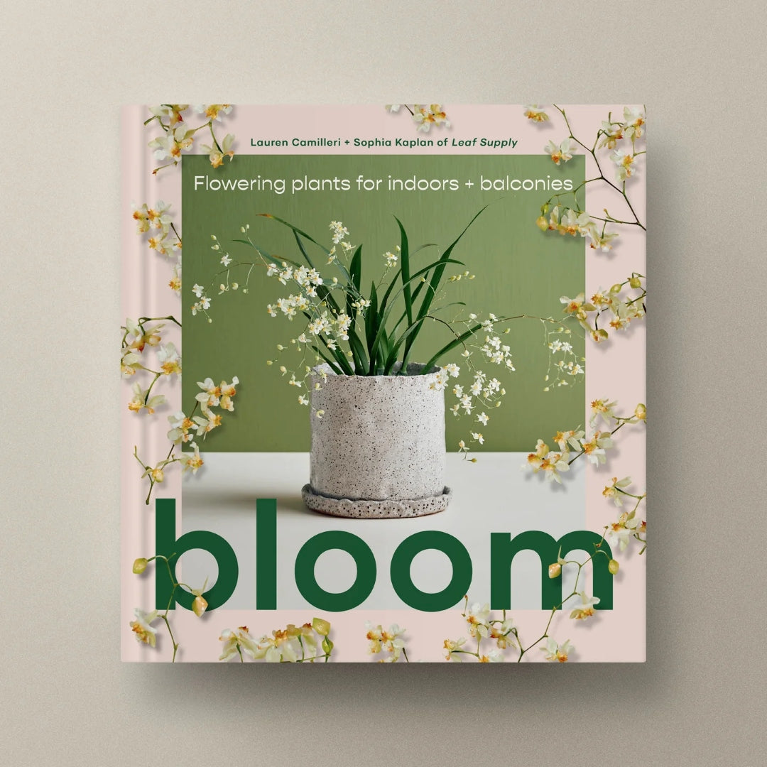 Bloom: Flowering Plants for Indoors and Balconies