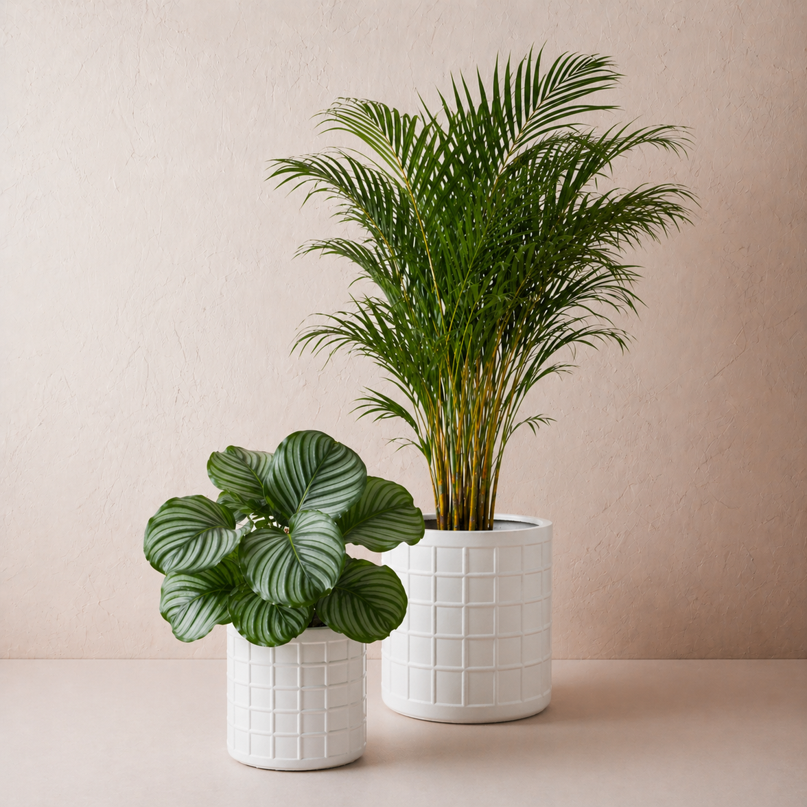 Jardin Pot (2 sizes)