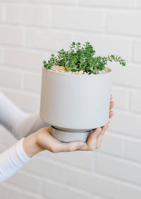 Collectors Gro Pots Light Grey
