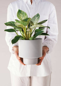 Collectors Gro Pots Light Grey