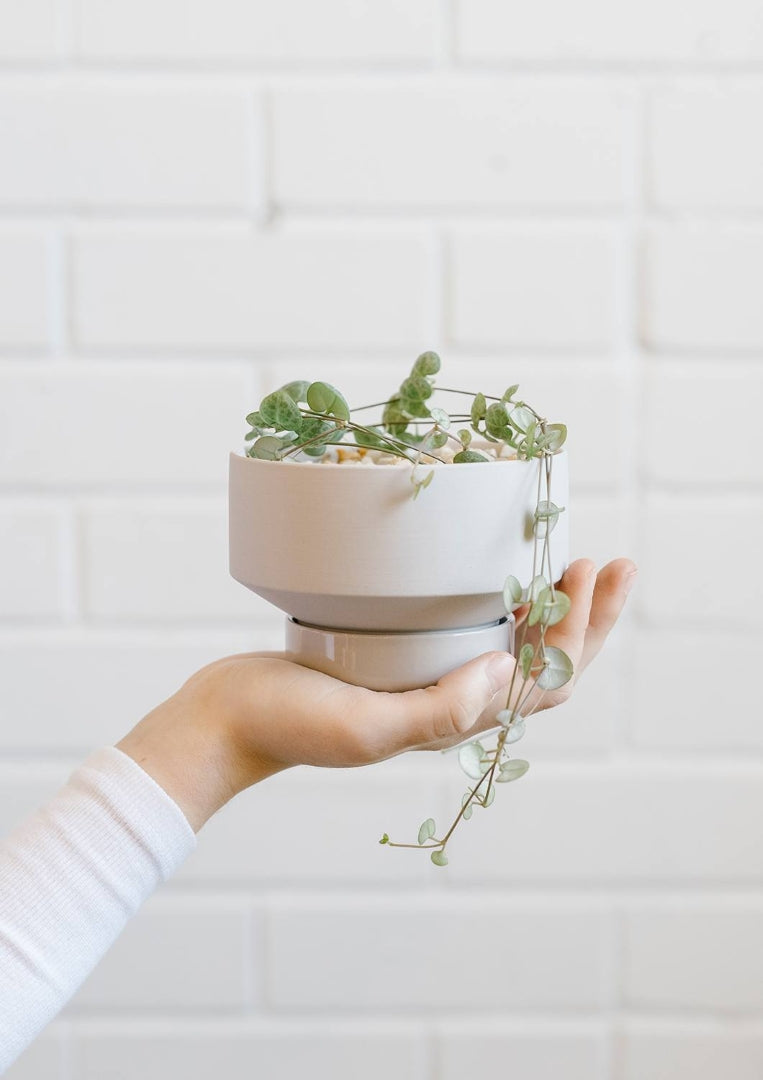 Collectors Gro Pots Light Grey